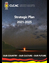 CLCAC Strategic_plan_2021-2025