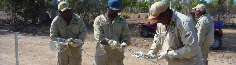 From biodiversity surveys to barbed wire fencelines