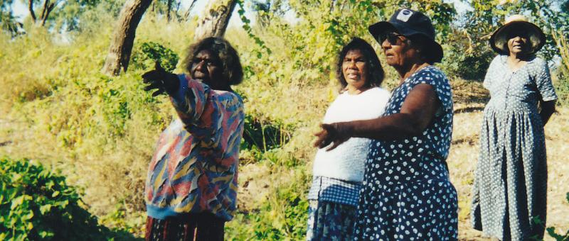 Waanyi Elders
